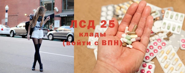 ГАЛЛЮЦИНОГЕННЫЕ ГРИБЫ Аркадак