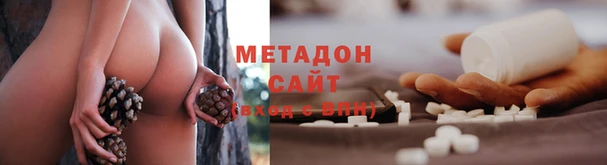 ГАЛЛЮЦИНОГЕННЫЕ ГРИБЫ Аркадак