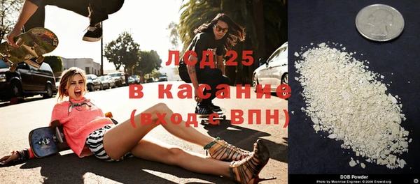 ECSTASY Алзамай
