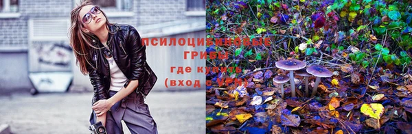 бутират Пестово