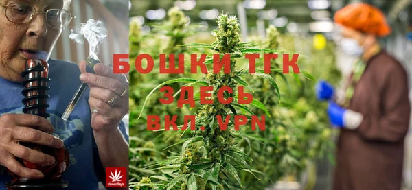 гашик Армянск