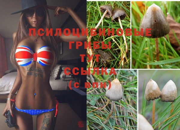 гашик Армянск
