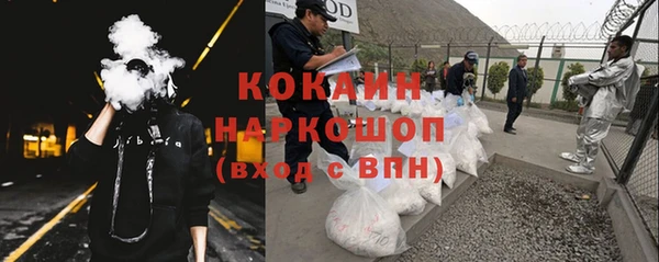 ГАЛЛЮЦИНОГЕННЫЕ ГРИБЫ Аркадак