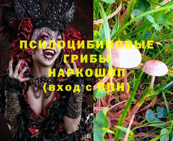 дживик Алексин