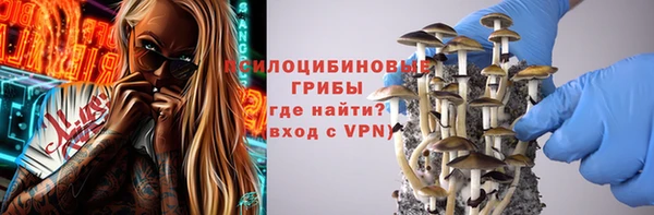 ECSTASY Алзамай