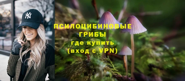 тгк Арсеньев